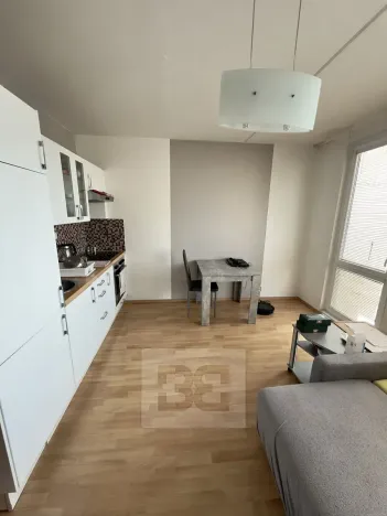 Pronájem bytu 1+kk, Praha - Troja, Svídnická, 27 m2