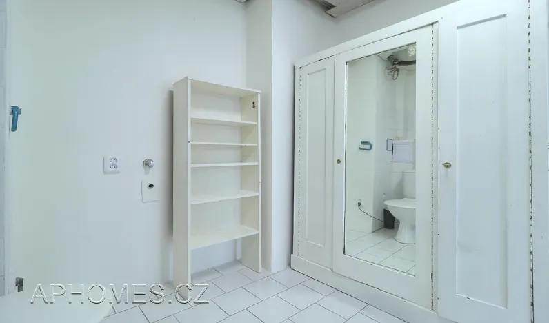 Pronájem bytu 1+1, Praha - Nové Město, Na Moráni, 35 m2