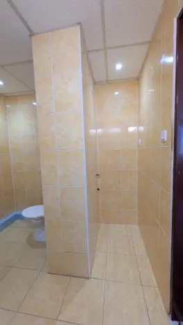 Pronájem bytu 3+1, Most, Česká, 65 m2