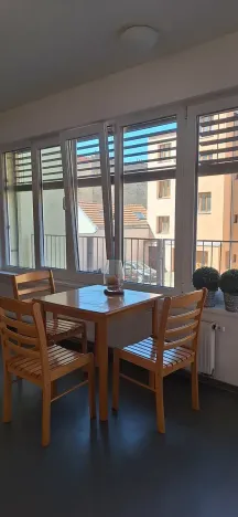 Pronájem bytu 1+kk, Brno, Stará, 44 m2