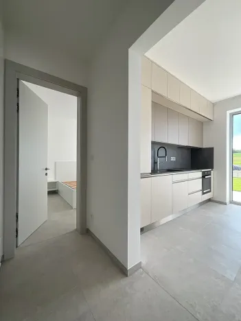 Pronájem bytu 2+kk, Hajany, 50 m2