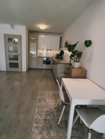 Pronájem bytu 1+kk, Plzeň, Kollárova, 56 m2