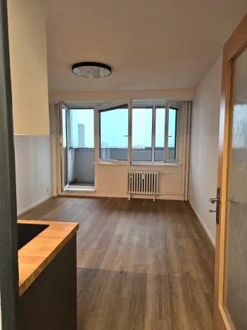 Pronájem bytu 1+kk, Praha, Kyselova, 23 m2