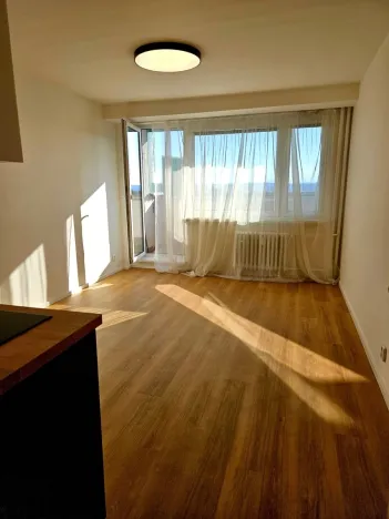 Pronájem bytu 1+kk, Praha, Kyselova, 28 m2