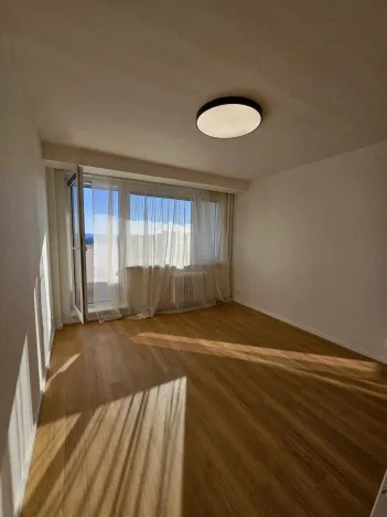 Pronájem bytu 1+kk, Praha, Kyselova, 28 m2
