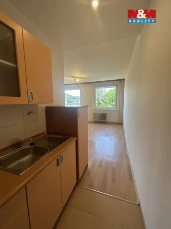 Pronájem bytu 1+kk, Ústí nad Labem, Vinařská, 31 m2