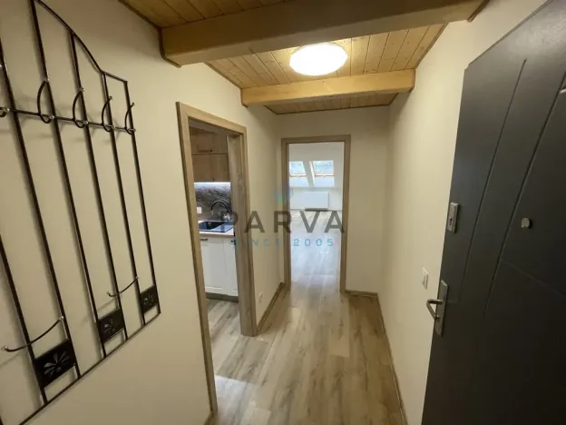 Pronájem bytu 1+1, Plzeň - Jižní Předměstí, Skvrňanská, 45 m2