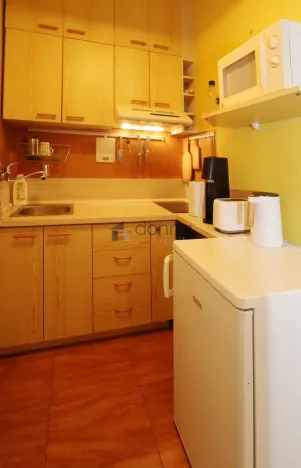 Pronájem bytu 1+kk, Praha, Konviktská, 30 m2