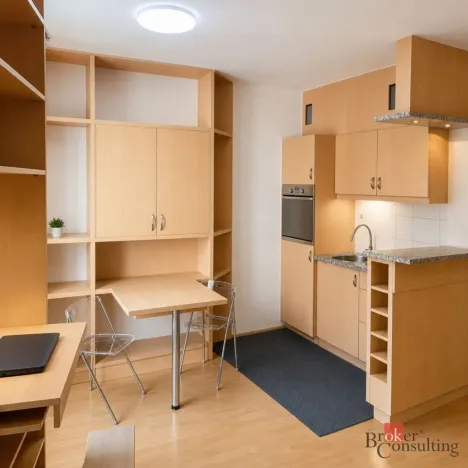 Pronájem bytu 1+kk, Praha - Vinohrady, Francouzská, 28 m2