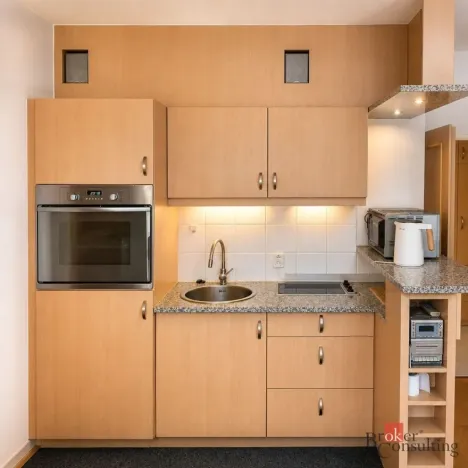 Pronájem bytu 1+kk, Praha - Vinohrady, Francouzská, 28 m2