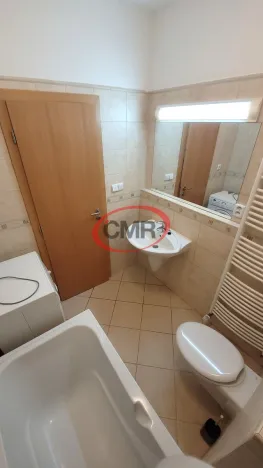 Pronájem bytu 1+kk, Praha, Lublaňská, 38 m2