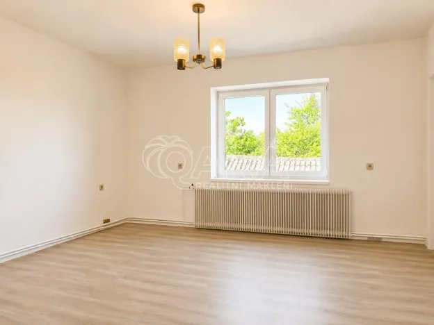 Prodej vícegeneračního domu, Olešná, 170 m2