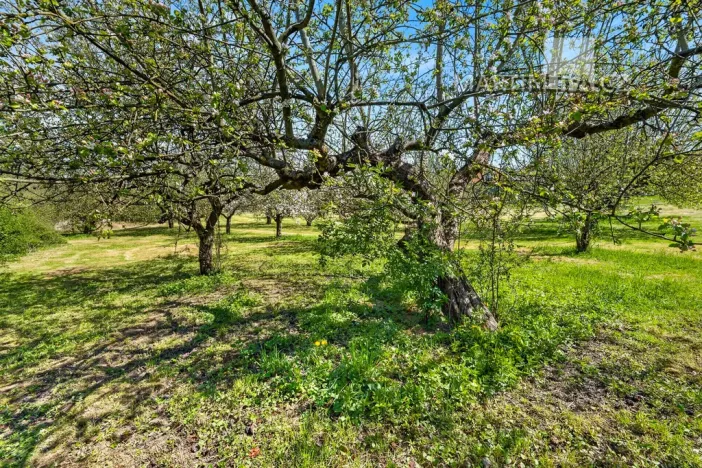 Prodej pozemku pro bydlení, Kamenný Přívoz - Hostěradice, 878 m2