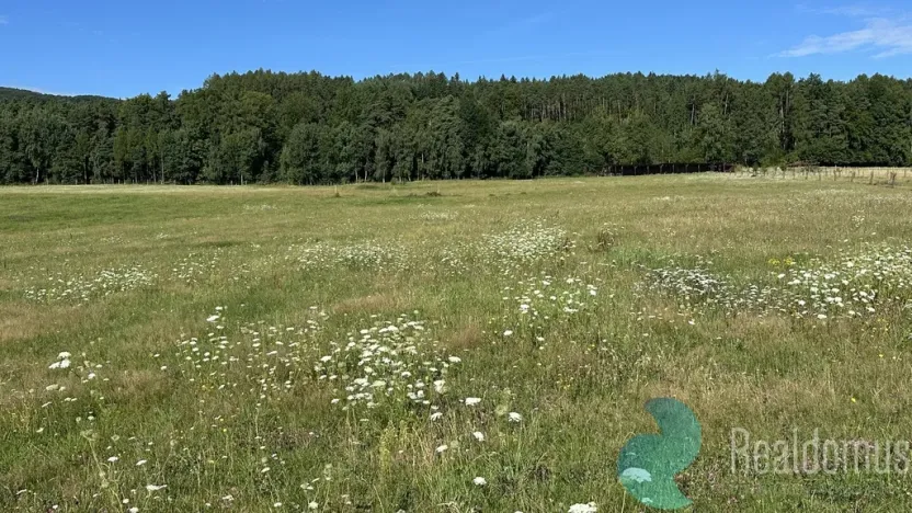 Prodej chalupy, Záboří - Dobčice, 170 m2