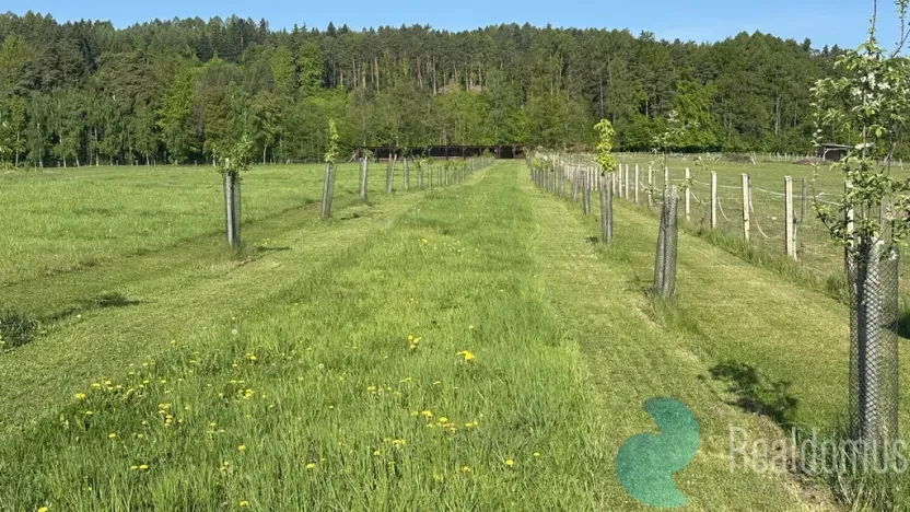 Prodej chalupy, Záboří - Dobčice, 170 m2