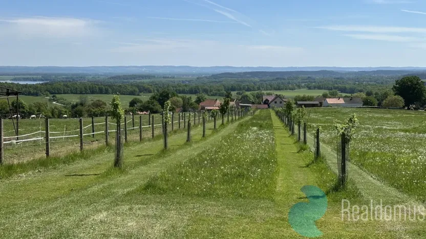 Prodej chalupy, Záboří - Dobčice, 170 m2