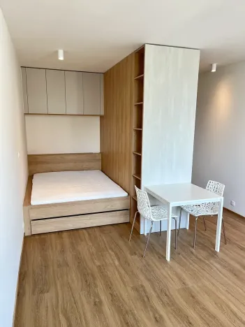 Pronájem bytu 1+kk, Brno, Placzkova, 33 m2