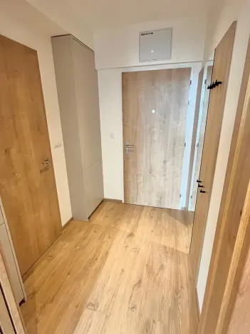 Pronájem bytu 1+kk, Brno, Placzkova, 33 m2
