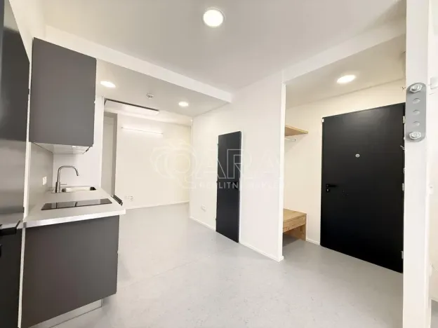 Pronájem bytu 1+kk, Praha - Nové Město, Dittrichova, 55 m2