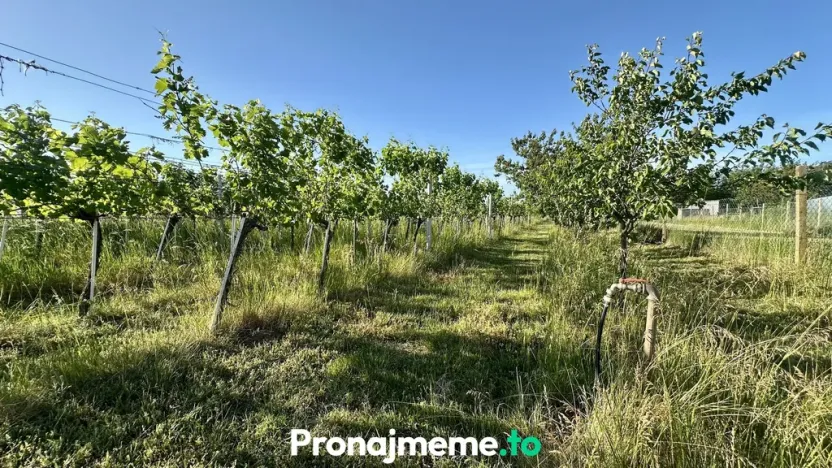 Pronájem - jiné, Šatov, 1759 m2