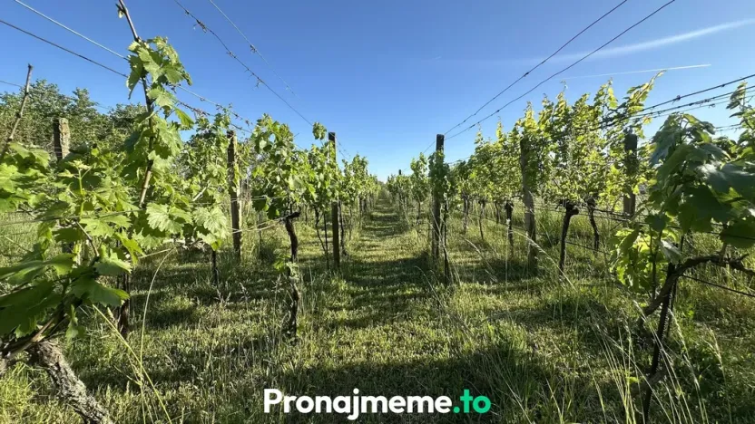 Pronájem - jiné, Šatov, 1759 m2