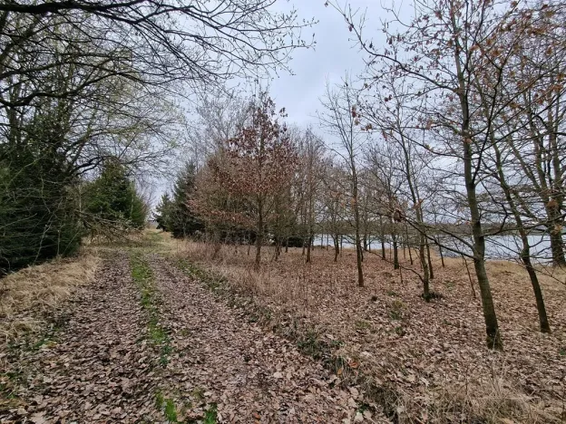 Prodej podílu pozemku pro bydlení, Bělčice, 34980 m2