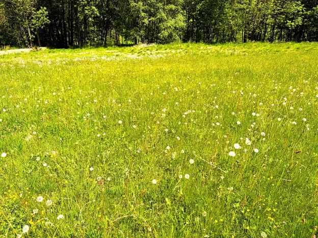 Prodej rodinného domu, Zdíkov, 108 m2