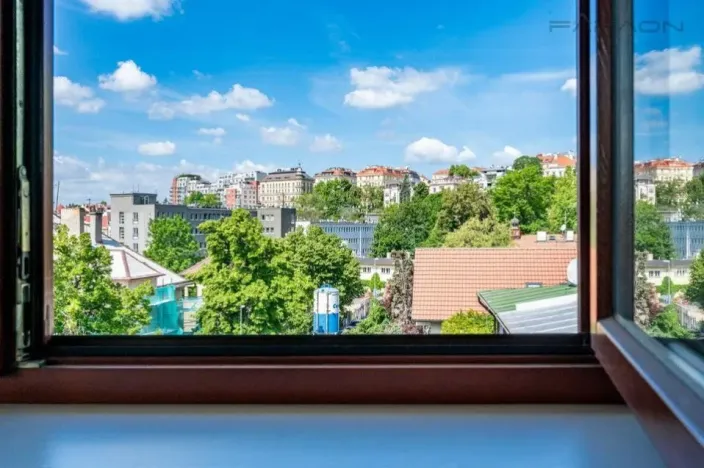 Pronájem bytu 2+kk, Praha - Vinohrady, Perucká, 75 m2