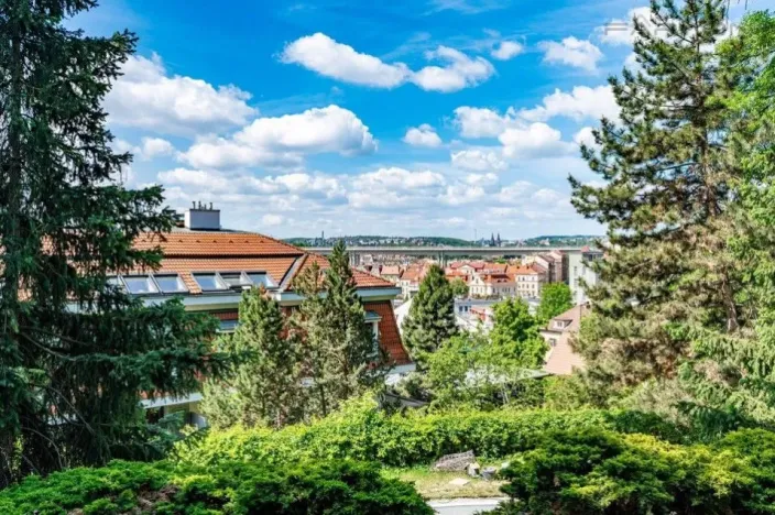 Pronájem bytu 2+kk, Praha - Vinohrady, Perucká, 75 m2
