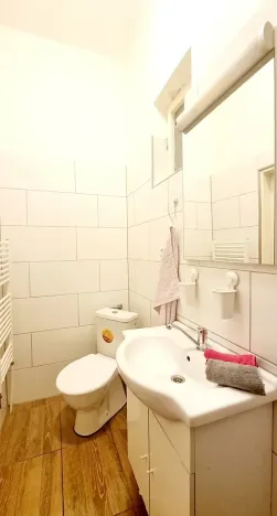 Pronájem bytu 2+1, Brno, Zborovská, 52 m2