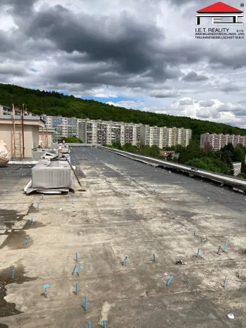 Prodej bytu 2+1, Litvínov - Janov, Třebušická, 80 m2