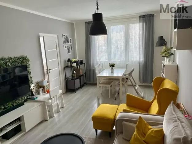 Prodej bytu 3+1, Litvínov - Horní Litvínov, B. Němcové, 63 m2