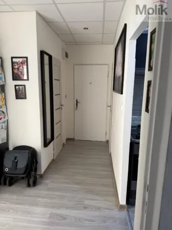 Prodej bytu 3+1, Litvínov - Horní Litvínov, B. Němcové, 63 m2