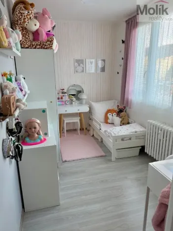 Prodej bytu 3+1, Litvínov - Horní Litvínov, B. Němcové, 63 m2