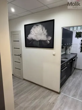 Prodej bytu 3+1, Litvínov - Horní Litvínov, B. Němcové, 63 m2