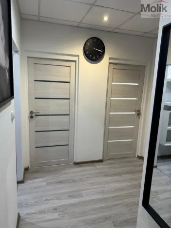 Prodej bytu 3+1, Litvínov - Horní Litvínov, B. Němcové, 63 m2