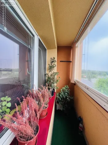 Pronájem bytu 2+1, Ostrava, Jičínská, 65 m2