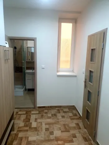Pronájem bytu 2+kk, Plzeň - Jižní Předměstí, Vrchlického, 54 m2