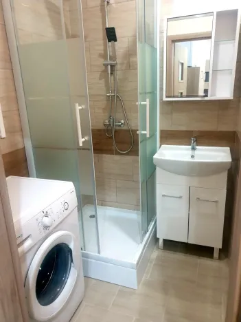 Pronájem bytu 2+kk, Plzeň - Jižní Předměstí, Vrchlického, 54 m2