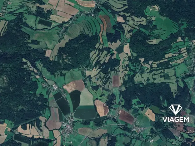 Prodej podílu lesa, Kravaře, 787 m2