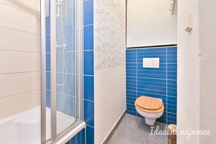 Pronájem bytu 1+1, Brno - Staré Brno, Schovaná, 41 m2