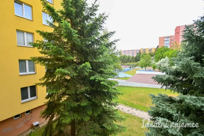 Pronájem bytu 1+kk, Brno, Moldavská, 30 m2