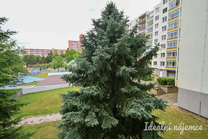 Pronájem bytu 1+kk, Brno, Moldavská, 30 m2