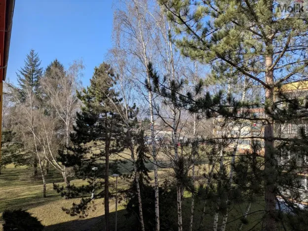 Pronájem bytu 2+1, Duchcov, V Domkách, 60 m2