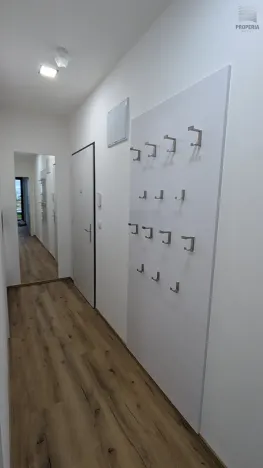 Pronájem bytu 2+kk, Brno, Škrochova, 50 m2