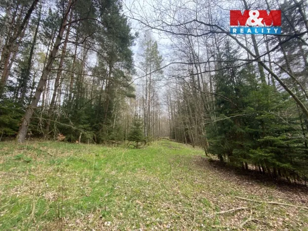 Prodej lesa, Volfířov - Brandlín, 5958 m2