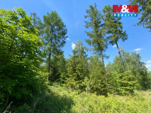 Prodej lesa, Kropáčova Vrutice - Sušno, 15167 m2