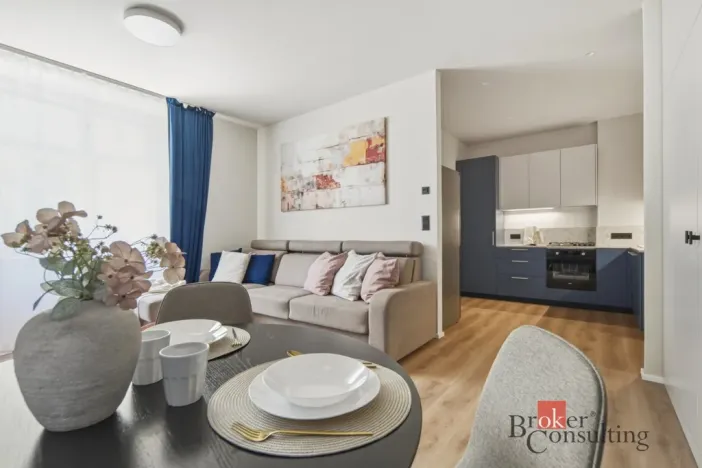 Prodej bytu 1+kk, Praha - Vinohrady, náměstí Jiřího z Lobkovic, 44 m2