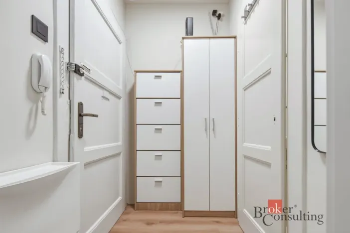 Prodej bytu 1+kk, Praha - Vinohrady, náměstí Jiřího z Lobkovic, 44 m2