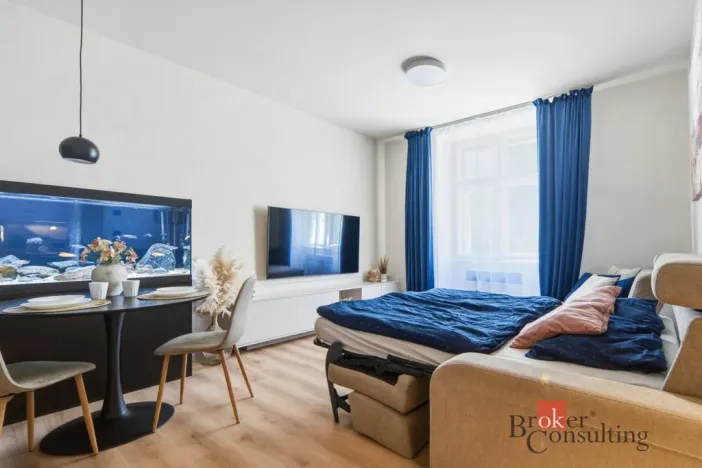 Prodej bytu 1+1, Praha - Vinohrady, náměstí Jiřího z Lobkovic, 44 m2